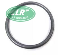 Õhufiltri tihend trosselklapile